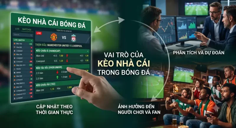 Vai trò của kèo nhà cái trong môn thể thao bóng đá
